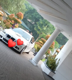 King luxury wedding car