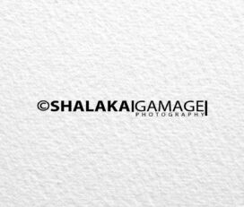 Shalaka Gamage photography