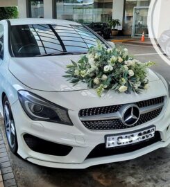 Luxury Wedding Car HOUSE