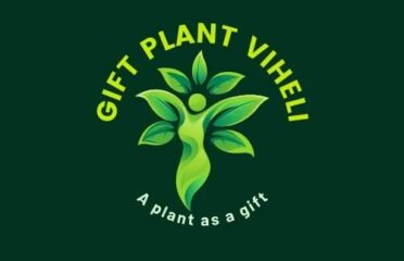 Gift plants viheli- තෑග්ගට පැලයක්